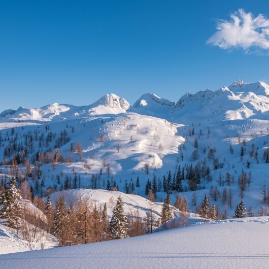 Vinifera Téli Kalandok