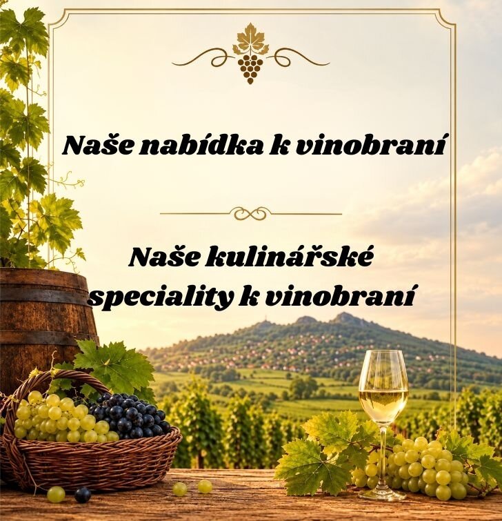 Naše nabídka k vinobraní
