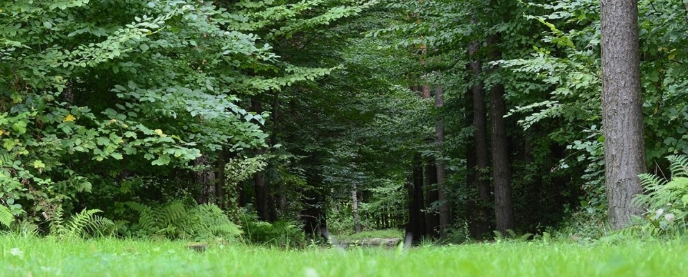 Mindentől távol, közel önmagadhoz