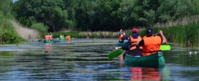 Kányavári Kenutúra – Kis-Balaton